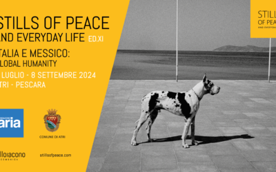 Stills of Peace XI – Video di Dino Viani